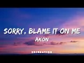 Akon - Sorry, Blame It on Me (Lyrics)