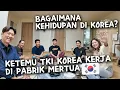 Download Lagu KEHIDUPAN DISINI BAGAIMANA? WAJIB NONTON KALO PENGEN KERJA DI KOREA!🇰🇷