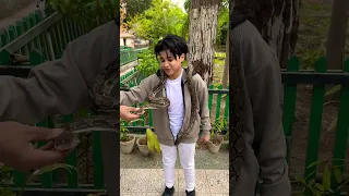 طلع البدر علينا 