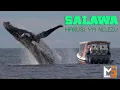 Download Lagu SALAWA __ HARUSI YA NELEZU (MBASHA STUDIO)