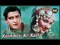 Download Lagu Kashmir Ki Kali Full Movie Hindi - Shammi Kapoor - कश्मीर की कली - शम्मी कपूर, शर्मिला टैगोर