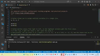 Python basics - Assign multiple variables in a single line