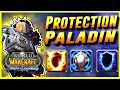 The FASTEST WAY To Pre up for PROTECTION PALADIN in Wotlk Classic