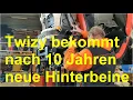 neue Hinterbeine für den Twizy