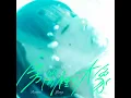 房間裡的大象 - The Elephant We See - Rainie Yang
