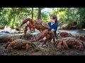 Download Lagu Mãe Solteira Captura Caranguejo Gigante e Leva ao Mercado – Técnica Audaciosa ao Enfrentar Cobra