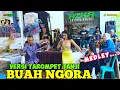 Download Lagu BUAH NGORA medley|| versi Tarompet Tanji ||Vitri Mpit x Azka project 🔴Live Puncer Campaka-Batudua