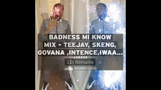 badness mi know mix teejay skeng govana intence iwaata chronic law etc 