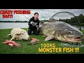 Download Lagu YOU WON’T BELIEVE THIS! Sheep’s Head Bait Lands a 100KG MONSTER FISH!