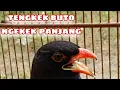 Download Lagu Tengkek Buto Super Gacor Tanpa Jeda