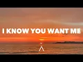 Lagu Pitbull - I Know You Want Me (ATCG Afro House Remix) (Lyrics)