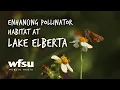 Enhancing Pollinator Habitat at Lake Elberta