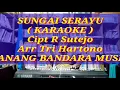 DITEPINYA SUNGAI SERAYU,KARAOKE,Tri Hartono,LANANG BANDARA MUSIK