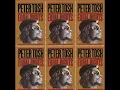 PETER TOSH JAH GUIDE DUB