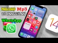 Download Lagu Cara ganti nada panggilan WA pakai lagu mp3 di iphone Download Lagu Cara ganti nada panggilan WA pakai lagu mp3 di iphone