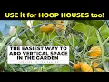 EASY CHEAP way to ADD VERTICAL GARDENING SPACE Works for HOOP HOUSES too
