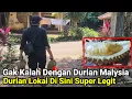 Lagu Gak Kalah Dengan Durian Malaysia Durian Lokal Di Sini Super Legit