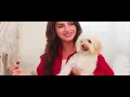 Jutti Meri Mashup | Neha Bhasin | Instagram Trending Song | Non-Stop Bollywood Mashup 