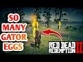 SO MANY GATOR EGGS Red Dead Redemption 2