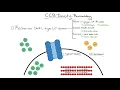 Tox Talk Calcium Channel Blocker Toxicity
