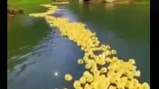 حالات واتس اب دينية مع اجمل المناظر الطبيعية 