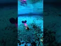 Download Lagu Learn to Become a Mermaid 🧜‍♀️ Now Offering #PADI #Mermaid Courses