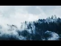 Lofi - Until We Meet Again ft. amies