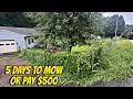 She Had 5 Days Before a 500 Fine So I Did Her Entire Yard for FREE