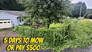 She Had 5 Days Before a 500 Fine So I Did Her Entire Yard for FREE