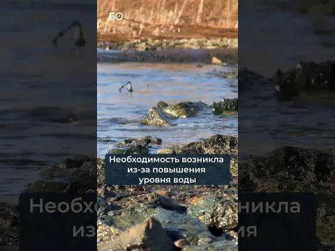 Остров с водокачкой ХIХ века укрепят #водокачка #водозабор #памятник