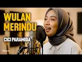 WULAN MERINDU - CICI PARAMIDA - Reggae Cover by Ameera #requestyuk