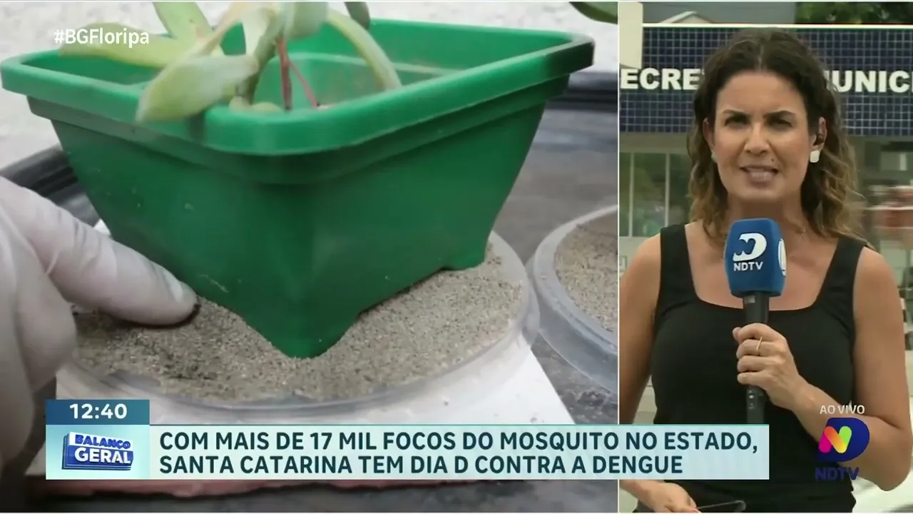 Santa Catarina combate a dengue com Dia D: mais de 17 mil focos do mosquito no Estado
