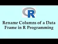 R programming Rename Columns of a Data Frame