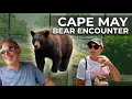 Cape May Discovering hidden treasures