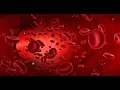 Download Lagu Hybrids and Rh Negative Blood - ROBERT SEPEHR