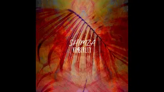 shimza asuk original mix 