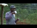 Download Lagu Into the Amazon: Gold, Survival, and the River Roads of Suriname - Deadliest Journeys