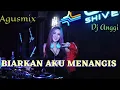 Download Lagu Dj mantull (biarkan aku menangis