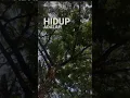 Download Lagu jangan menyerah,syukuri apa yang ada,hidup adalah anugrah,