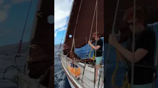 #oceansailing with #azores #cheese
