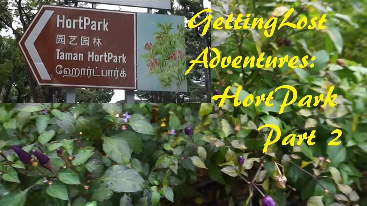 GettingLost Adventures : HortPark. One Stop gardening resource centre. Part 2