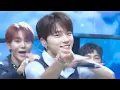 Download Lagu 세븐틴 (SEVENTEEN) - My My 교차편집 (Stage Mix)