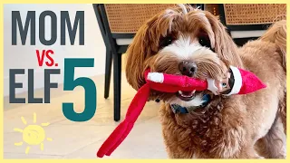 MOM VS. ELF ON THE SHELF #5  - The END?!