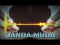 Download Lagu Dj Remix Janda Muda