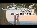 Download Lagu Timilai Suhaune Dimple Galama - Paul Shah [Slowed+Reverb] || New Nepali Song 2080 || BNK Reverb