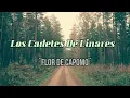 LOS CADETES DE LINARES -¨Flor De Capomo¨ (LETRA)