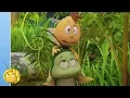 Download Lagu Maya de Bij - De grote gemene oorwurm