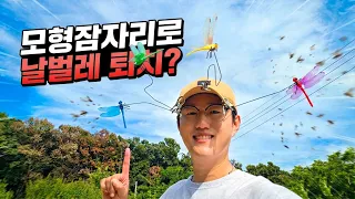 날파리, 모기의 최대 천적인 잠자리를 모형으로 달고다니면 사람에게 안덤빈다고?