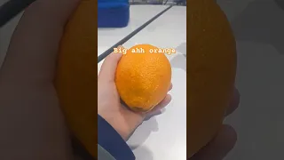 Big Ahh Orange Orange Beeg Idkwhatimdoingwithmylife Credits To My Goofy Ahh Friend Joey 