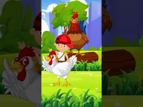 Kukuruyuk begitulah ayam berbunyi #kartunlucu #laguayam